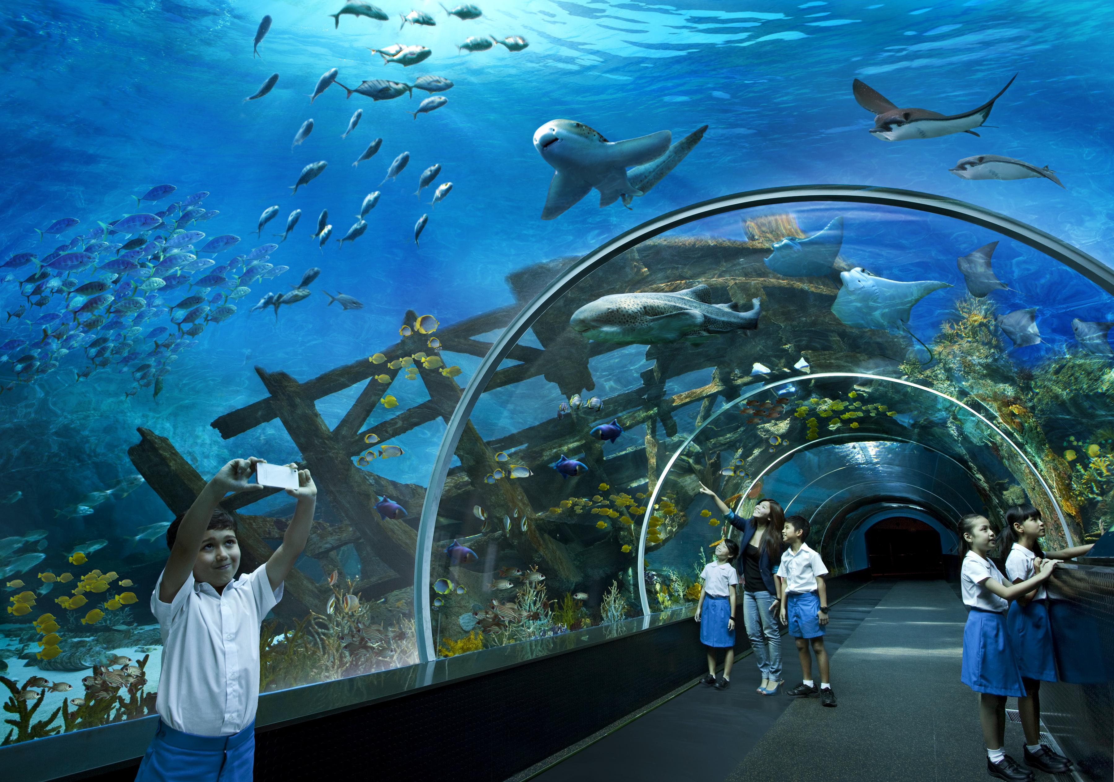 Resorts World Sentosa - Hotel Michael Singapur Dış mekan fotoğraf
