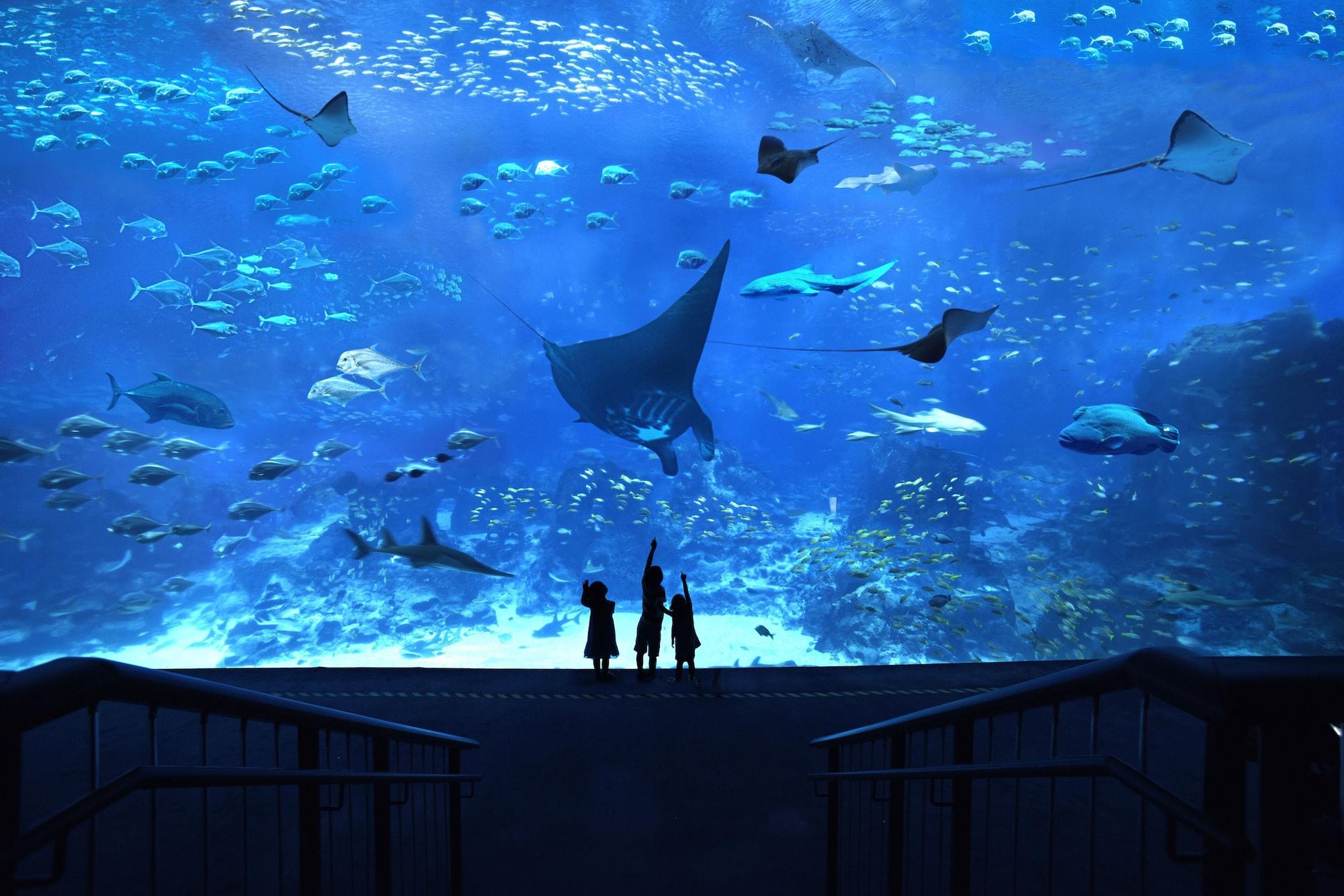 Resorts World Sentosa - Hotel Michael Singapur Dış mekan fotoğraf