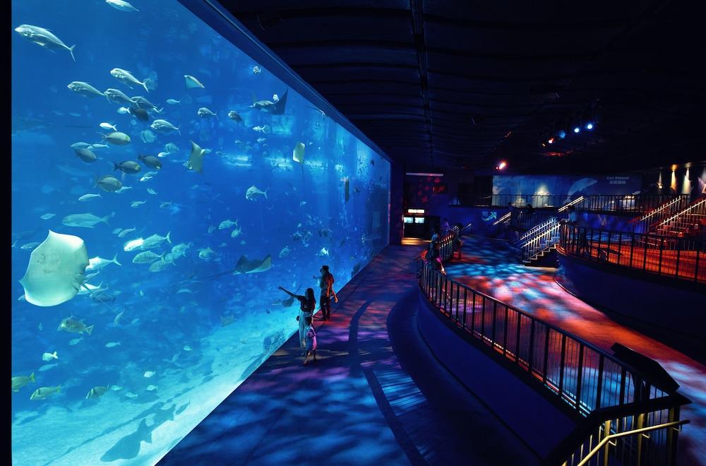 Resorts World Sentosa - Hotel Michael Singapur Dış mekan fotoğraf